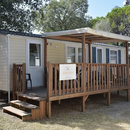 Albatross Mobile Homes On Family Collection Camping