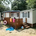 Campsite Albatross Mobile Homes On Family Collection *