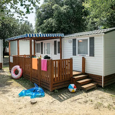 Campsite Albatross Mobile Homes On Family Collection *
